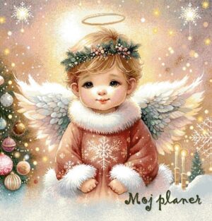 Moj planer – Anđeo